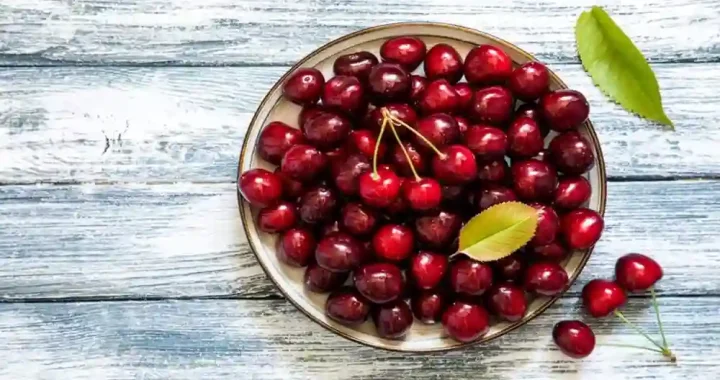 When Are Cherries In Season